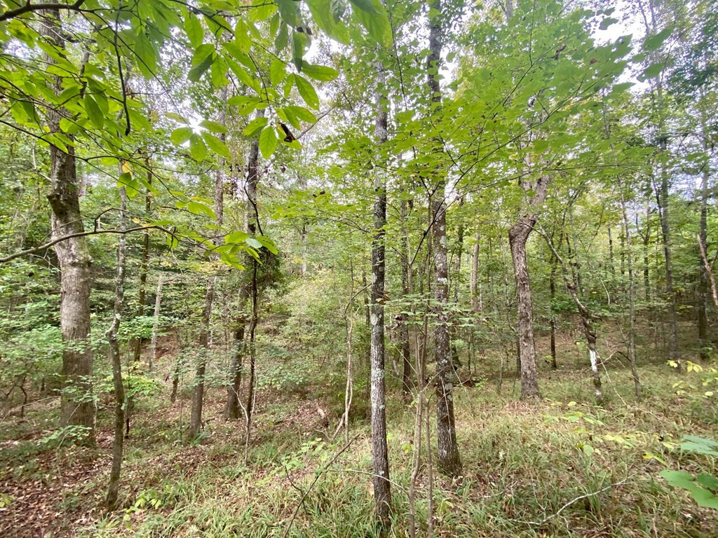 1122 Walters Road Crystal Springs, MS 39059 - Photo 22 of 25 Photo 22