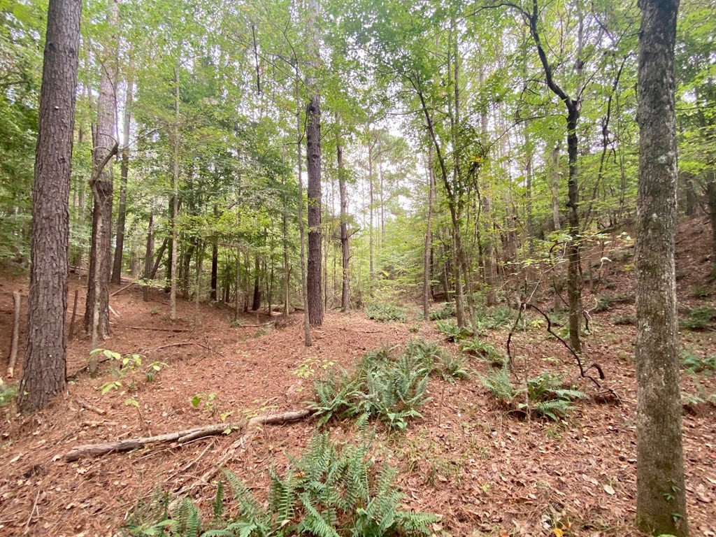 1122 Walters Road Crystal Springs, MS 39059 - Photo 23 of 25 Photo 23