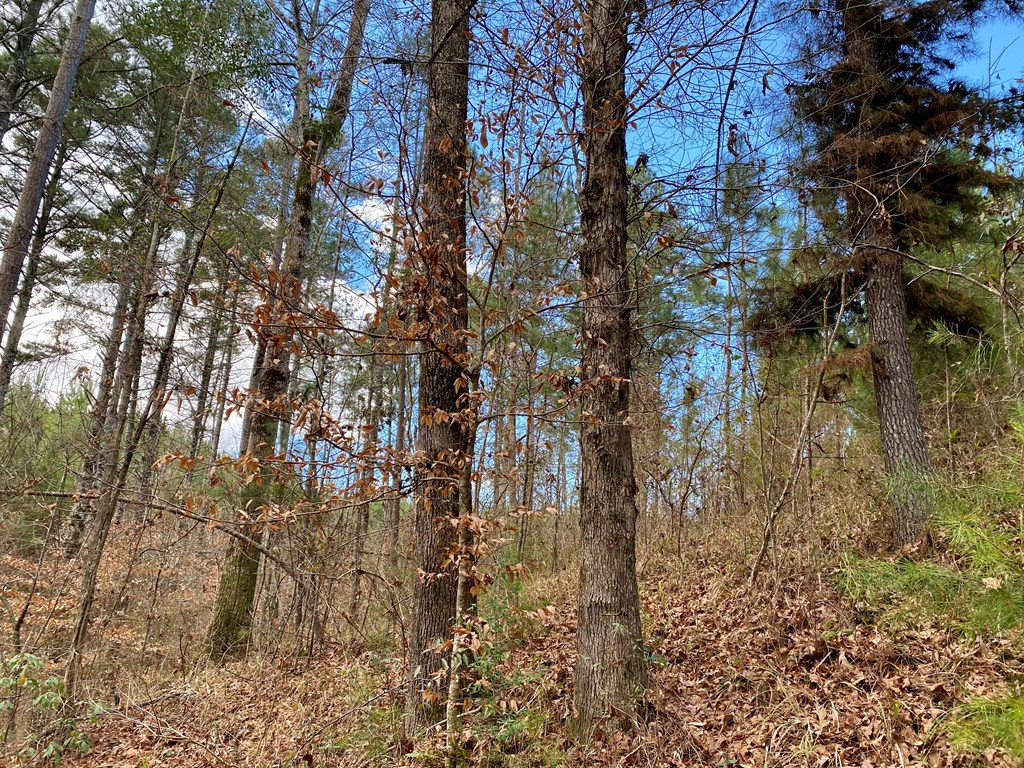 1122 Walters Road Crystal Springs, MS 39059 - Photo 3 of 25 Photo 3