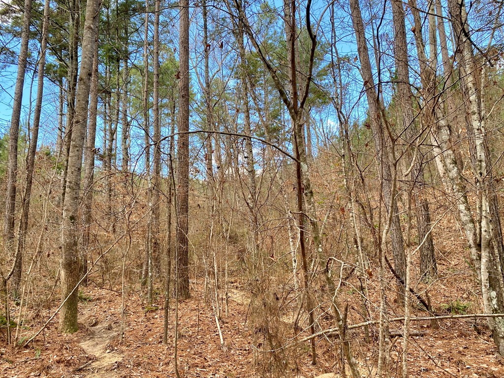 1122 Walters Road Crystal Springs, MS 39059 - Photo 7 of 25 Photo 7