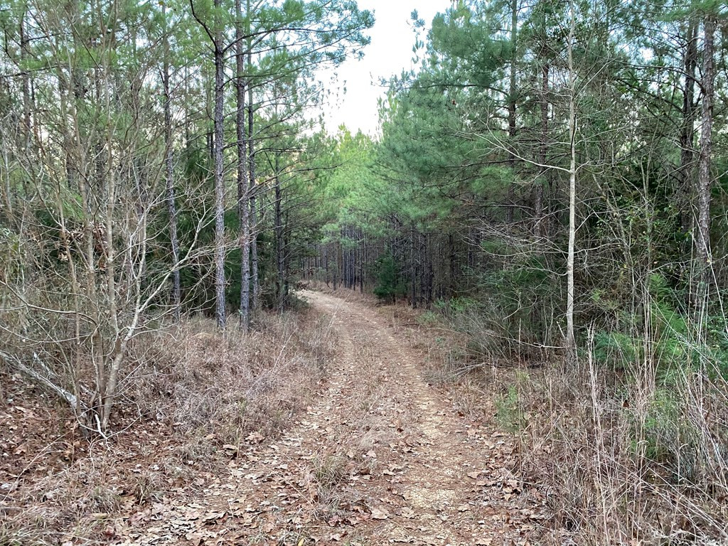 1122 Walters Road Crystal Springs, MS 39059 - Photo 9 of 25 Photo 9