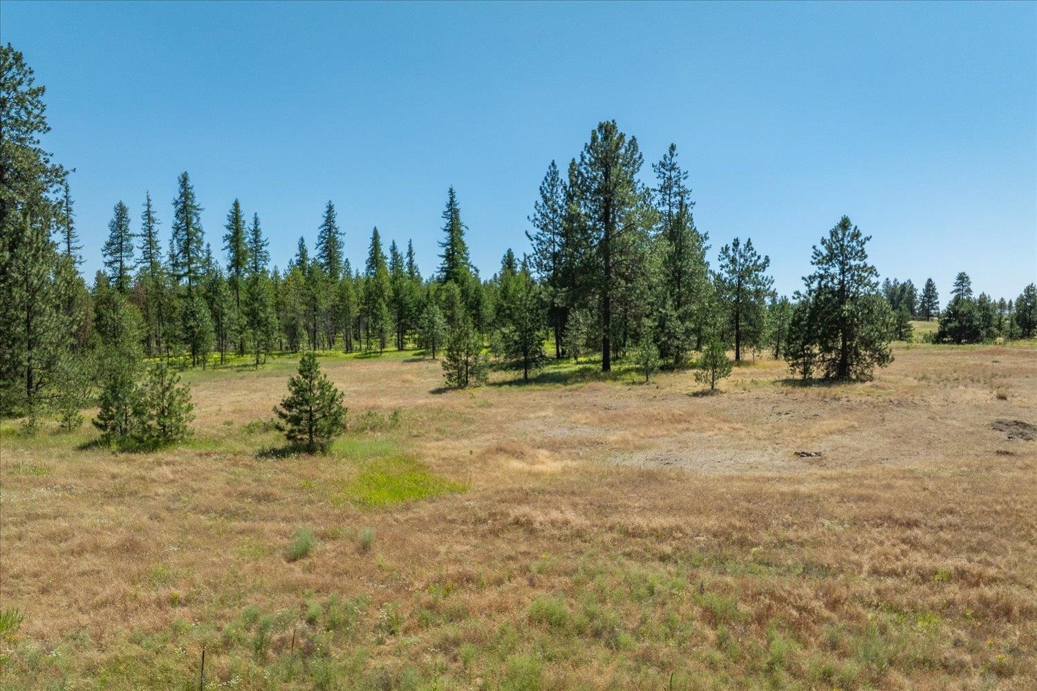 38311.9045 St Colbert Wa 99005 Colbert, WA 99005 - Photo 30 of 34