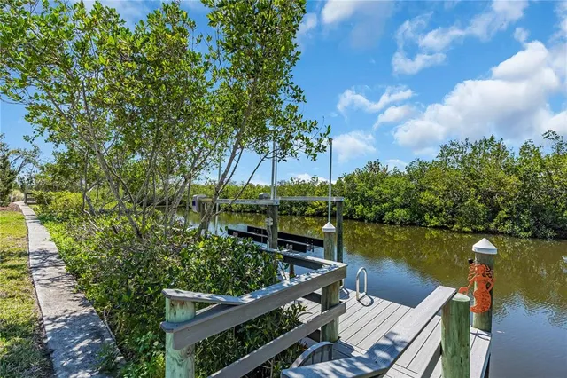 a view of a lake with wooden stairs and bridge and palm trees