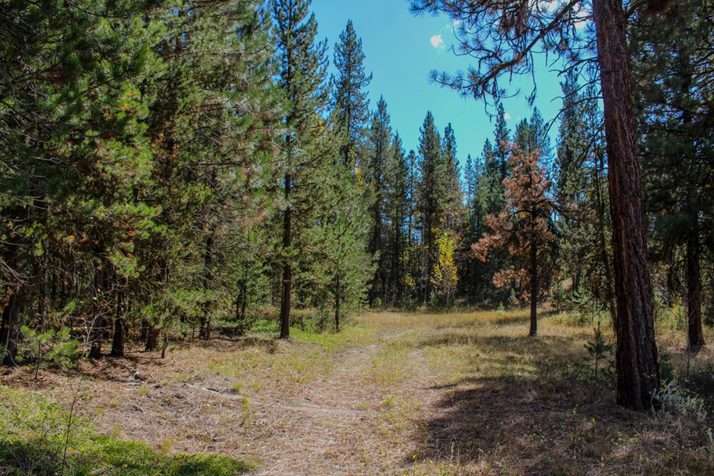 110 Warner Drive, Unit 47 Cascade, ID 83611 - Photo 8 of 15 Driveway Leaving Possible Pad Site