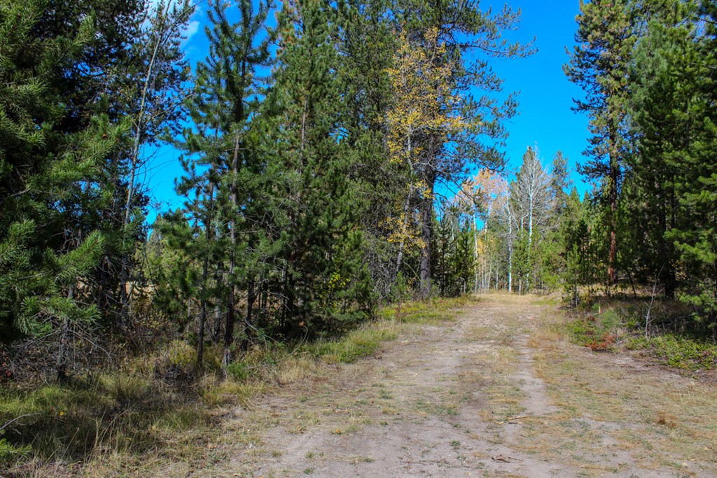 110 Warner Drive, Unit 47 Cascade, ID 83611 - Photo 10 of 15 Driveway on Property