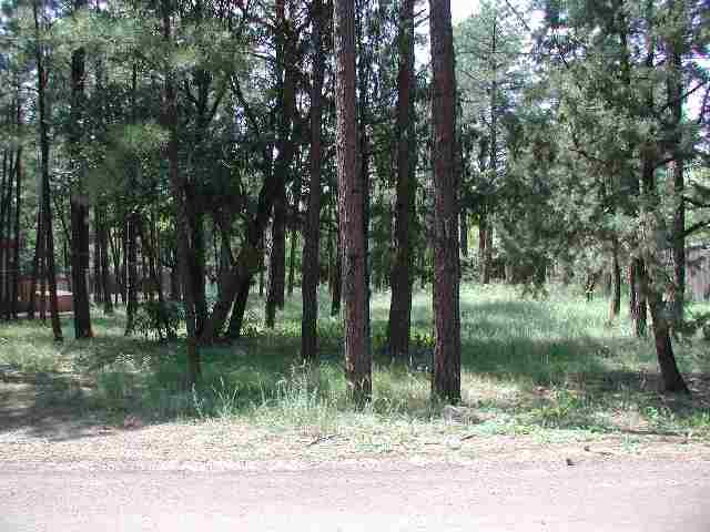 692 South Lake Road Lakeside, AZ 85929 - Photo 3 of 5