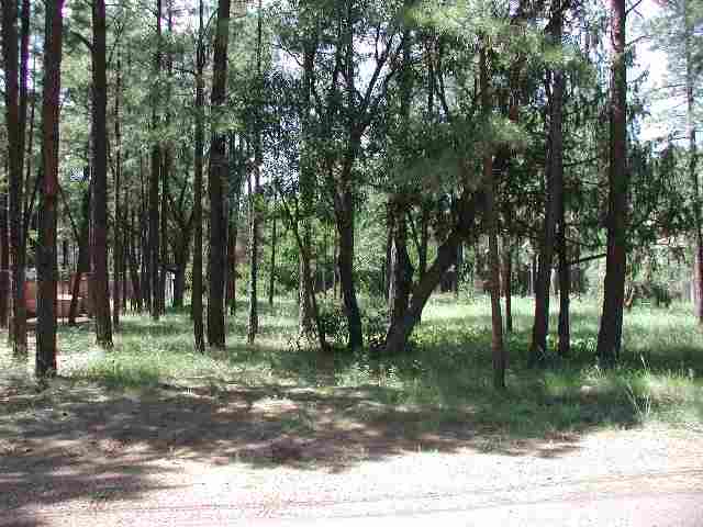 692 South Lake Road Lakeside, AZ 85929 - Photo 4 of 5
