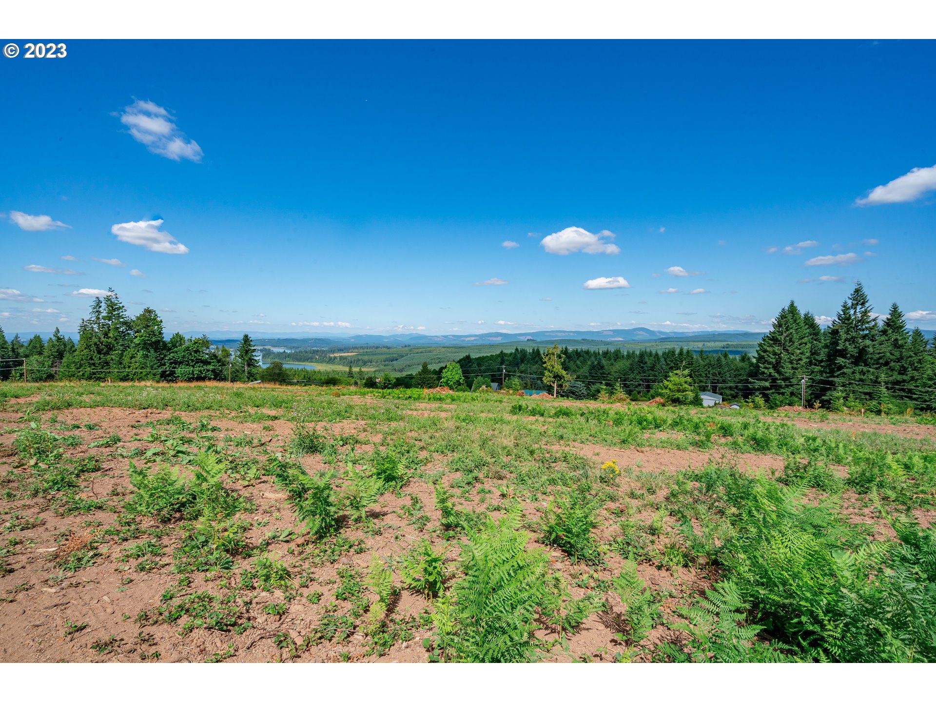 0 South Silver Lake Road, Unit 3 Castle Rock, WA 98611 - Photo 6 of 10 Gallery Image 6