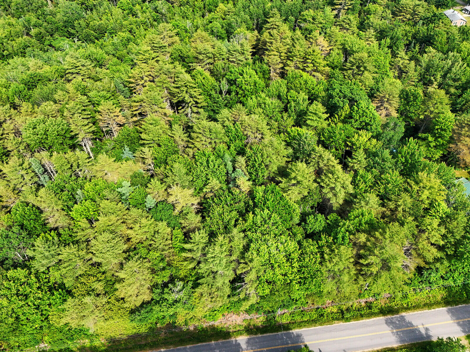 06_DJI_20240618160945_0246_D_DxO_mls
