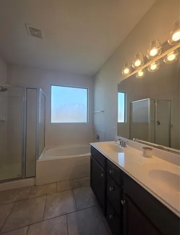 a bathroom with a sink tub double vanity and a mirror
