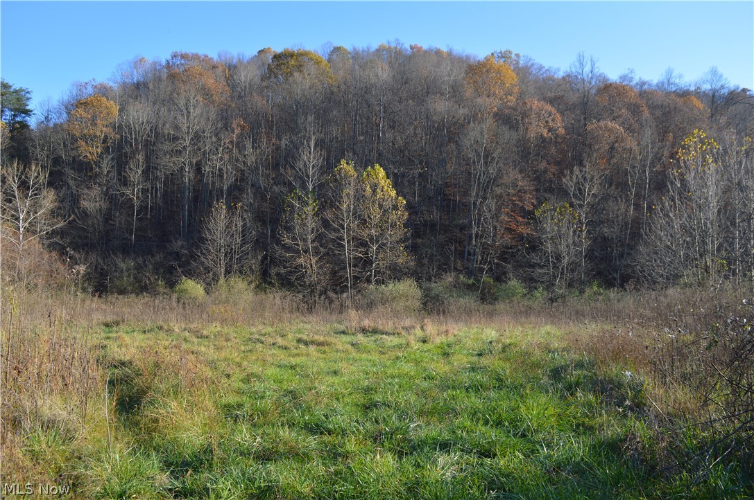 Beverlin Fork Center Point, WV 26339 - Photo 12 of 17