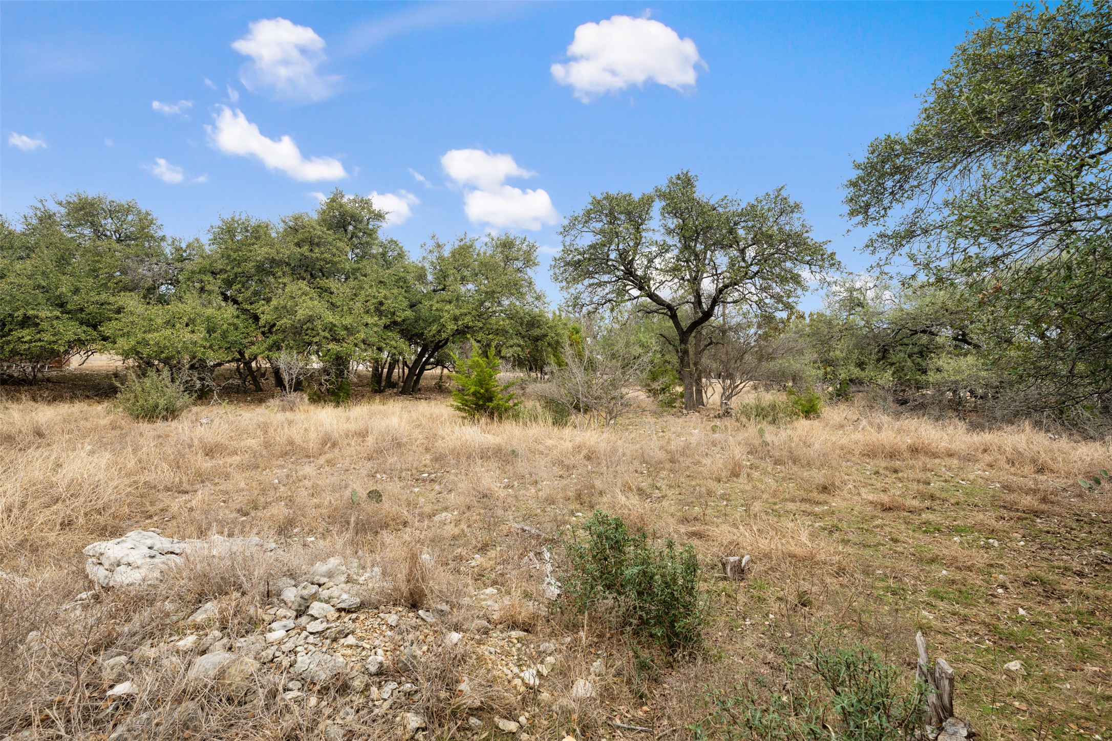 408 Ridge View Drive Georgetown, TX 78628 - Photo 10 of 23