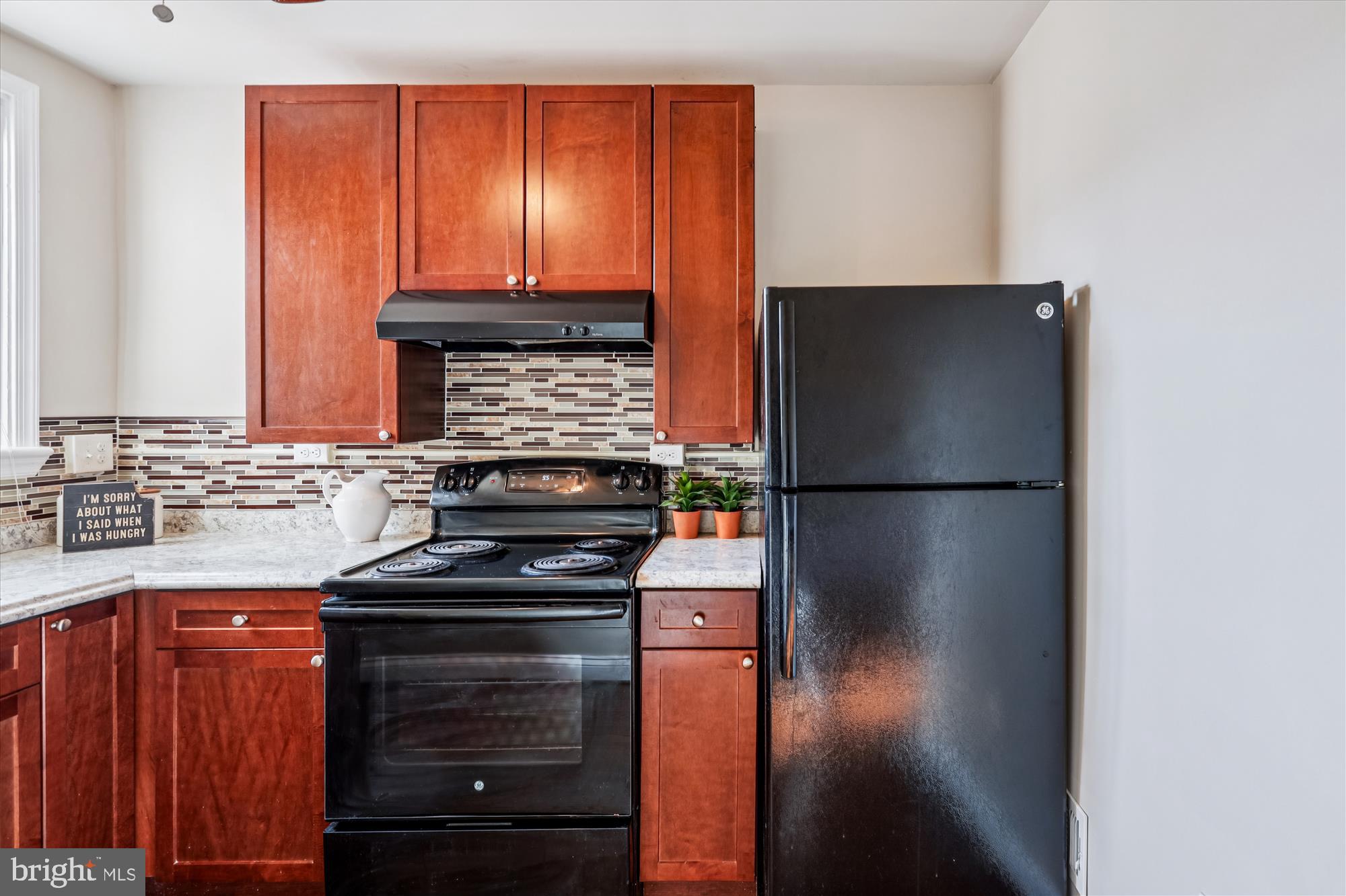 149 Denison Street, Unit 2 Baltimore, MD 21229 - Photo 10 of 24 a kitchen with a refrigerator and a sink