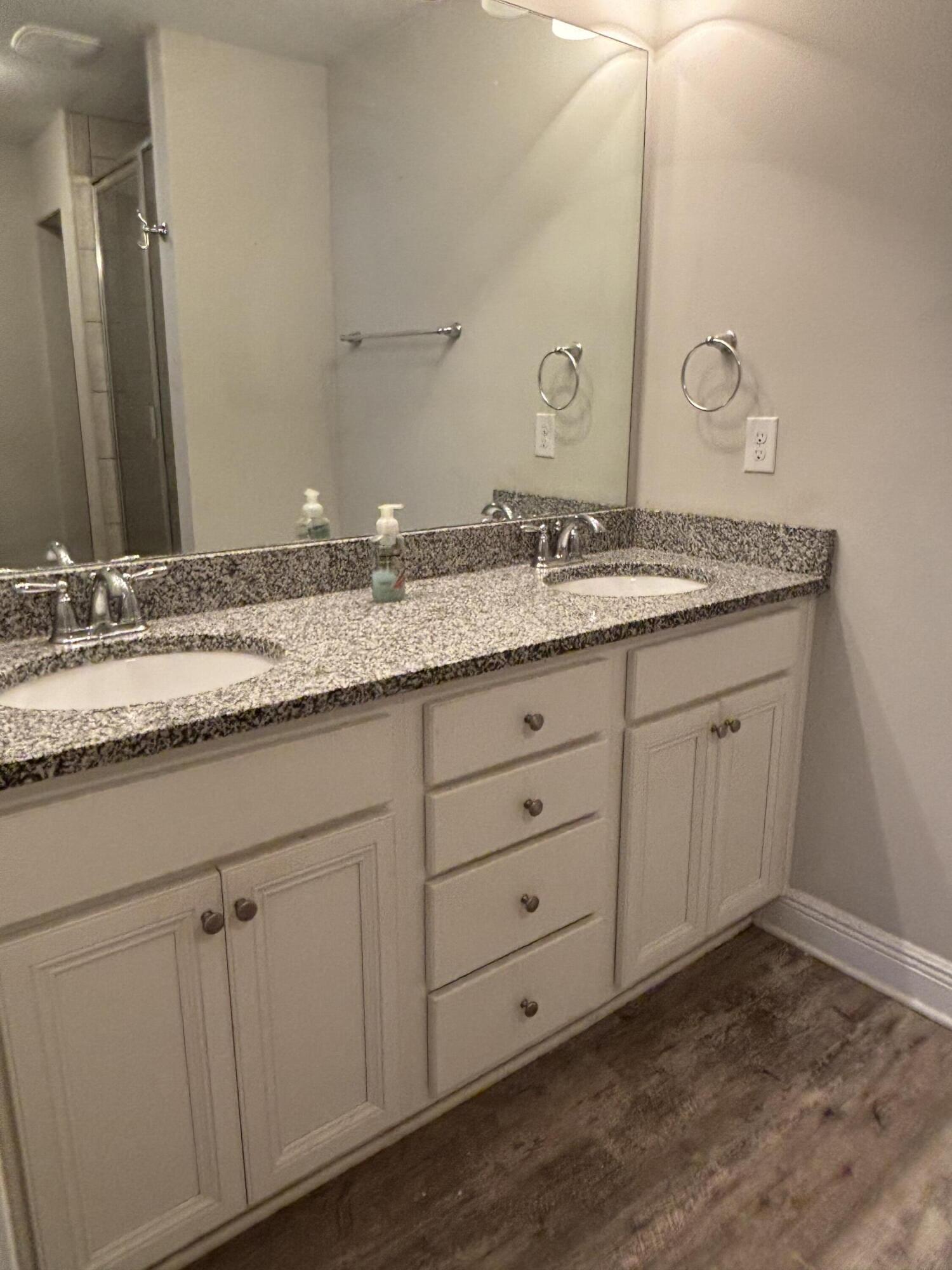 166 Crossing Lane, Unit C Santa Rosa Beach, FL 32459 - Photo 10 of 14 Master BA Vanity