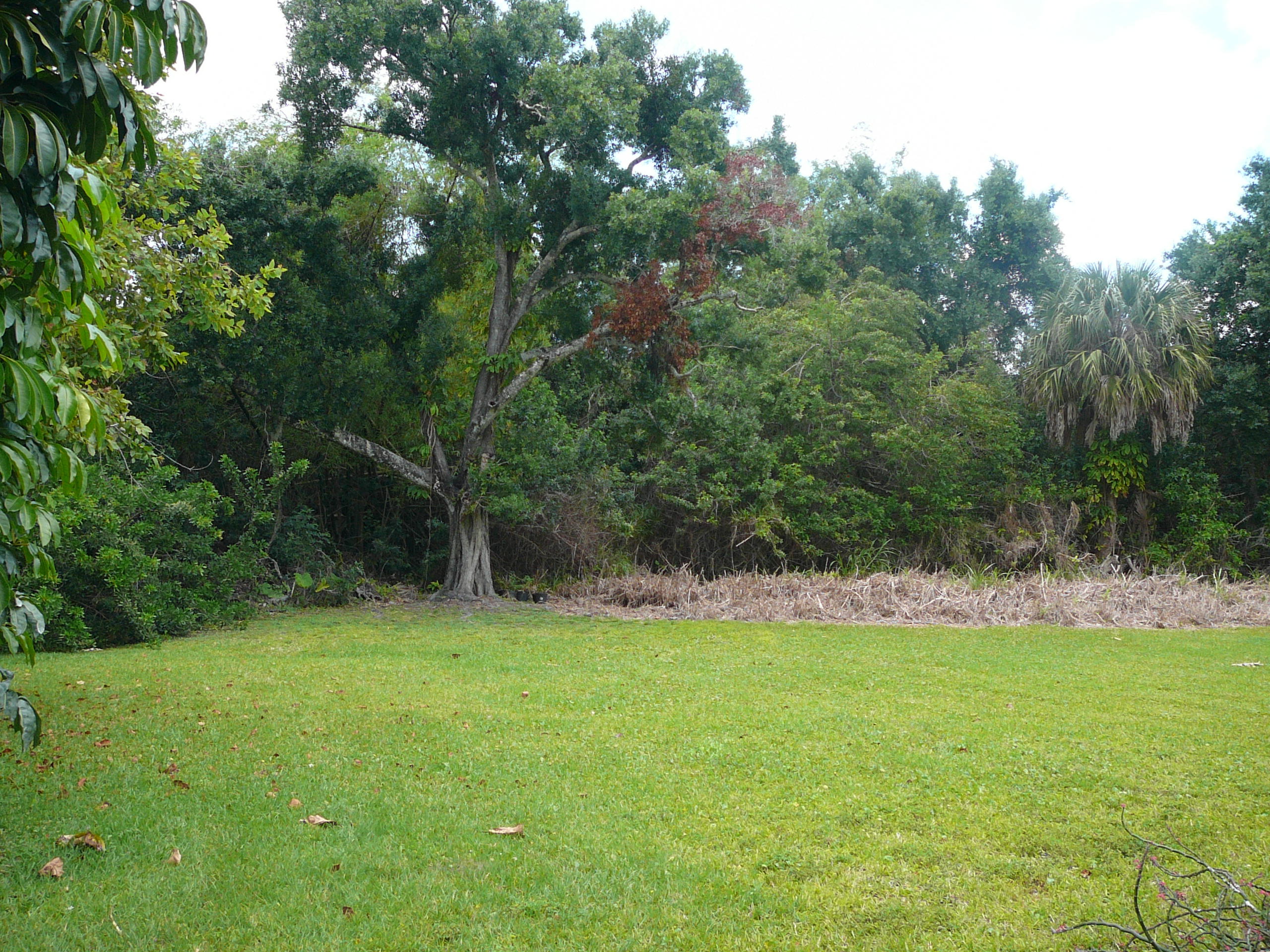 3608 Arnold Road Fort Pierce, FL 34981 - Photo 8 of 23 P1080761