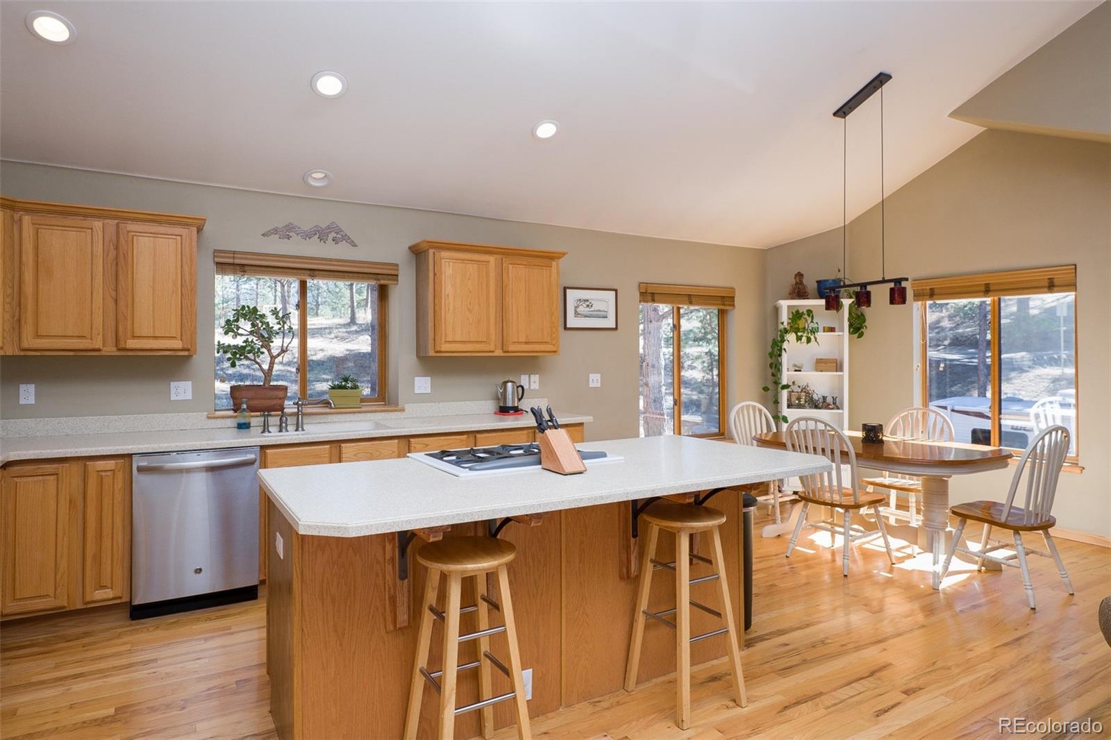 5161 South Olive Road Evergreen, CO 80439 - Photo 5 of 27 Gallery Image 5