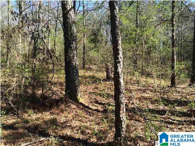 79 Highway 79, Unit 3 9 Cleveland, AL 35049 - Photo 7 of 21