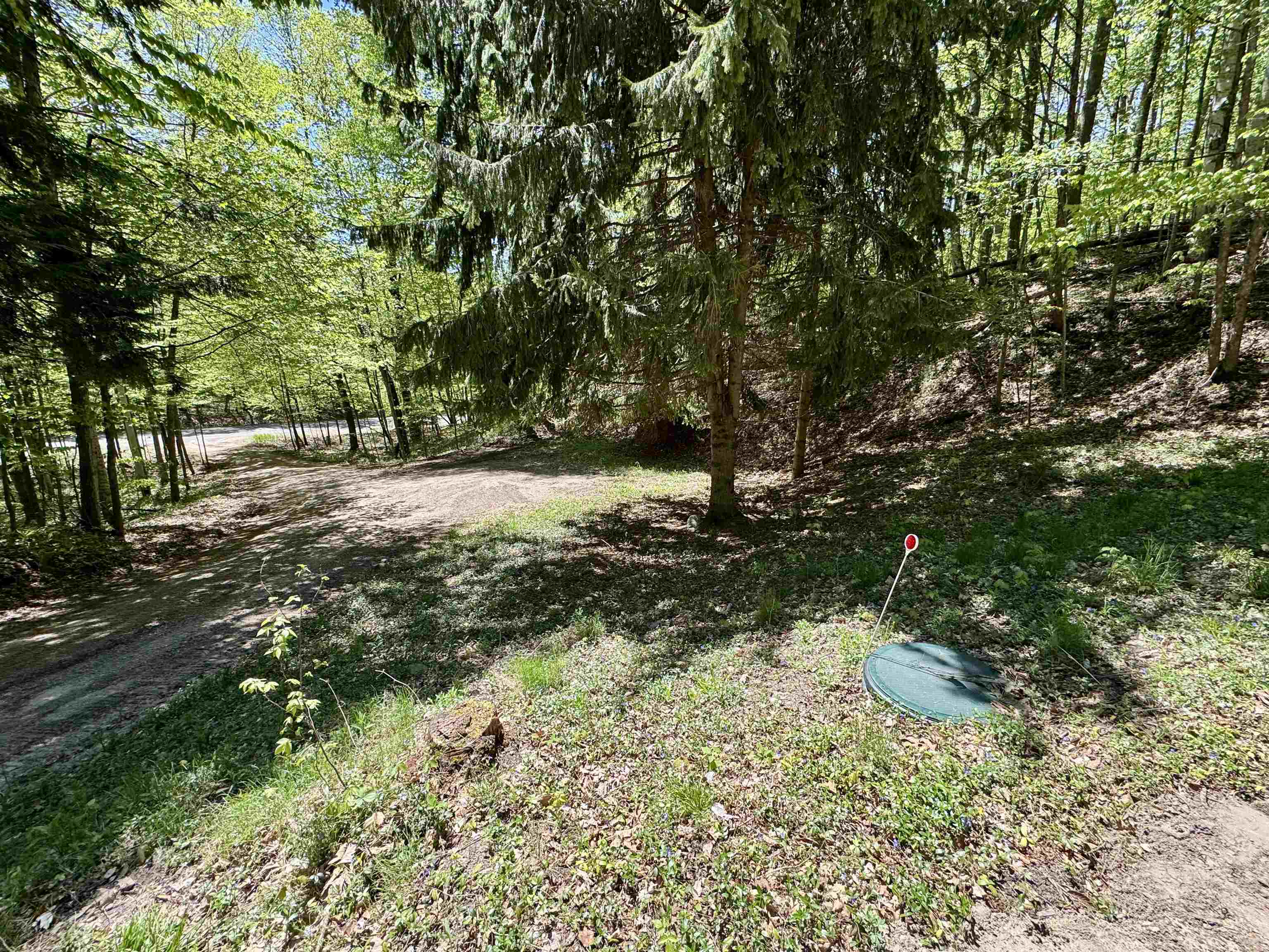1801 East Old Mountain Road Cedar, MI 49621 - Photo 14 of 23