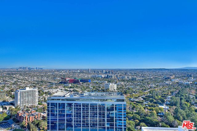 a view of a balcony with wooden floor and a potted plant