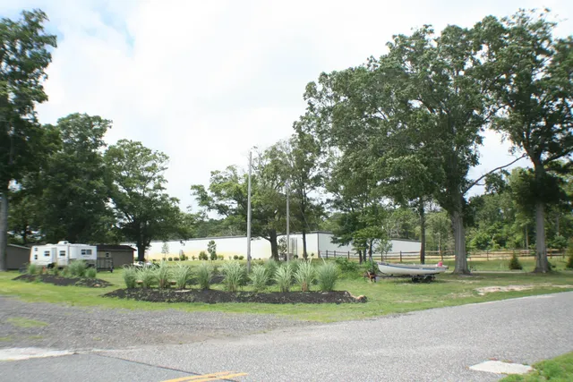a view of a park with large trees
