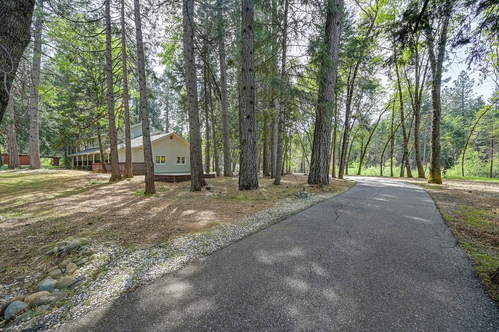 12528 Rattlesnake Road Grass Valley, CA 95945 - Photo 39 of 49