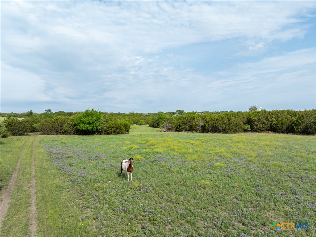 740 Old Georgetown Road Gatesville, TX 76528 - Photo 38 of 42