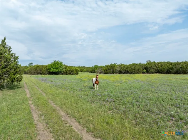 $478,500 | 740 Old Georgetown Road, Gatesville, TX 76528