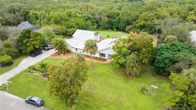 a view of a garden with plants