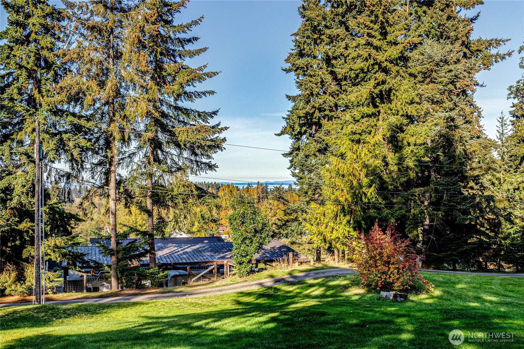 73 Ross Lane Port Angeles, WA 98363 - Photo 39 of 40 a backyard of a house with lots of green space