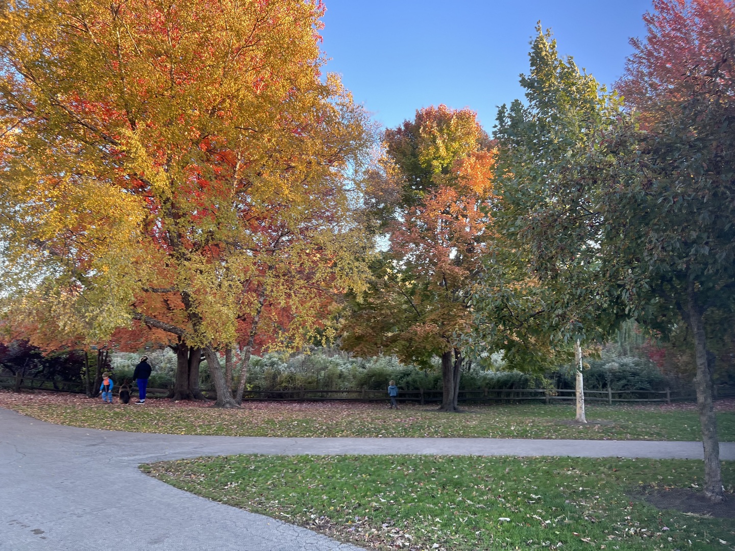 2201 West Winona Street, Unit G Chicago, IL 60625 - Photo 15 of 20