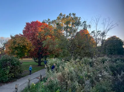 a view of outdoor space with trees