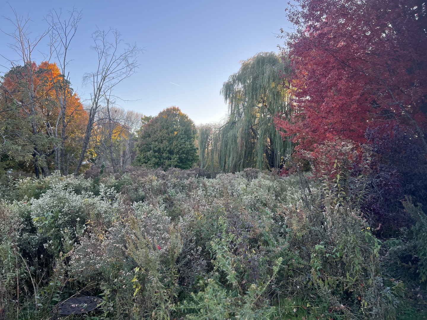 2201 West Winona Street, Unit G Chicago, IL 60625 - Photo 18 of 20