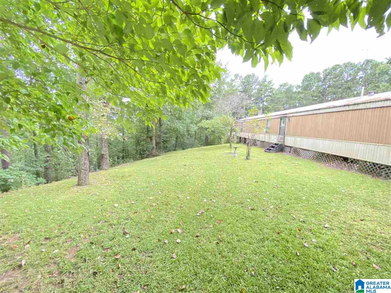 4169 Cook Springs Road Pell City, AL 35125 - Photo 2 of 35