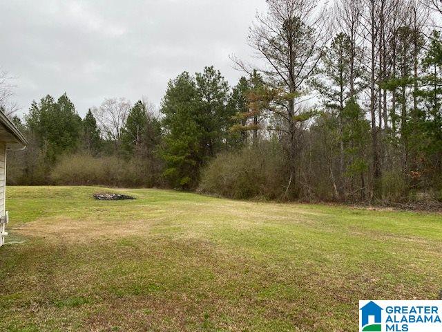 305 West Point Road Jacksonville, AL 36265 - Photo 30 of 31