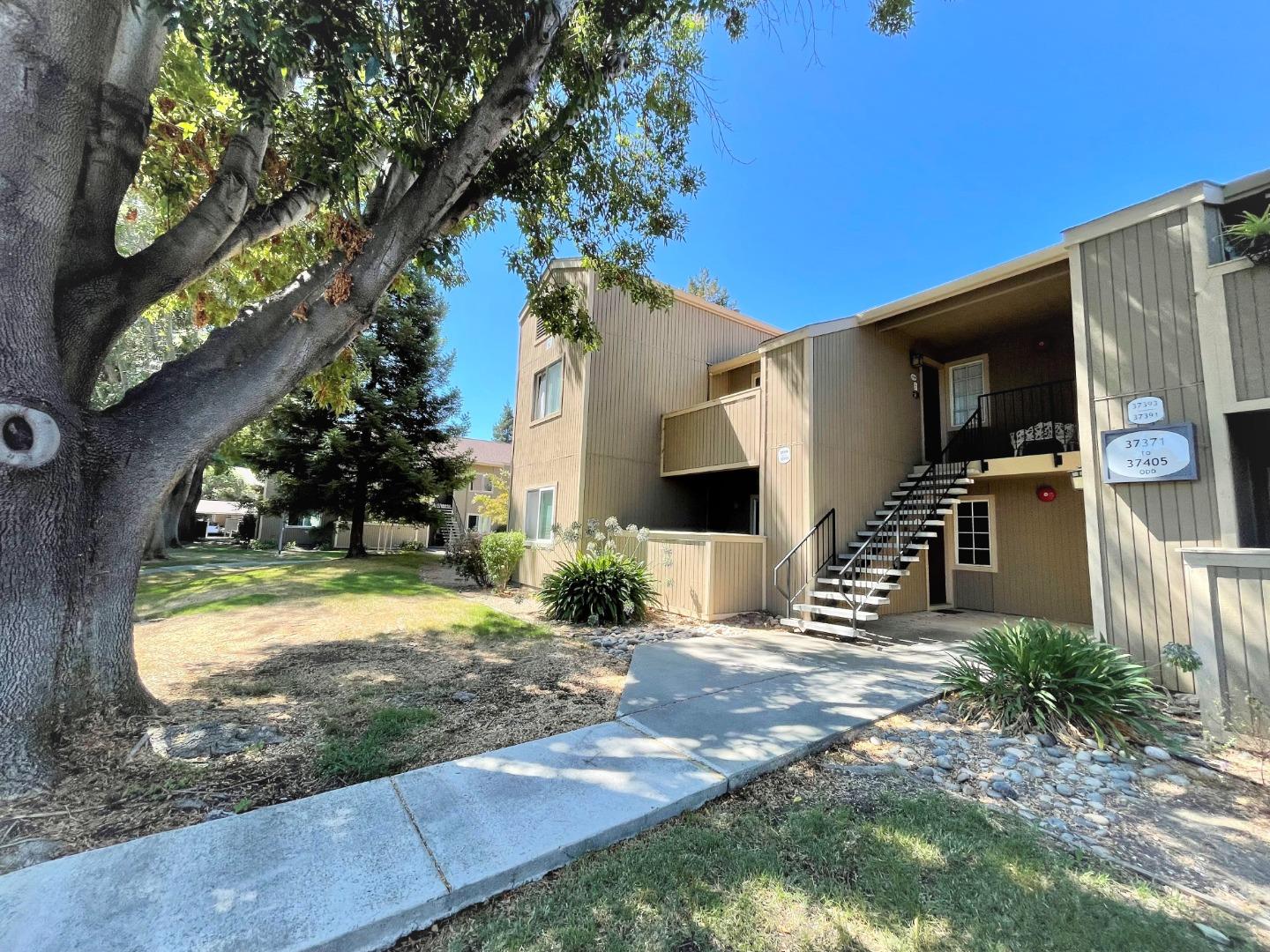 37399 Sequoia Road Fremont, CA 94536 - Photo 1 of 13 Gallery Image 1