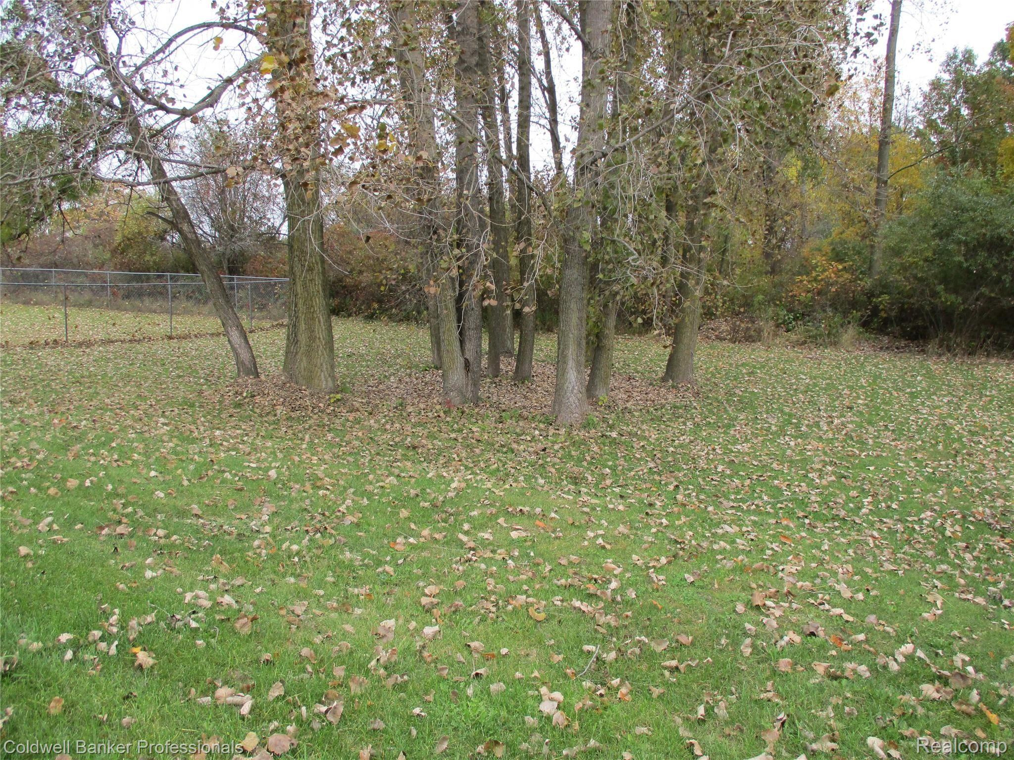 7096 South Ruess Road Owosso, MI 48867 - Photo 39 of 54 EAST YARD.JPG
