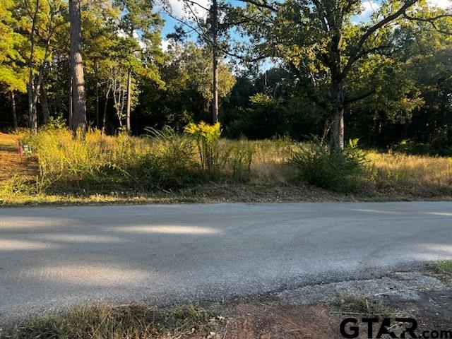10499 County Road 1111 Tyler, TX 75704 - Photo 2 of 2