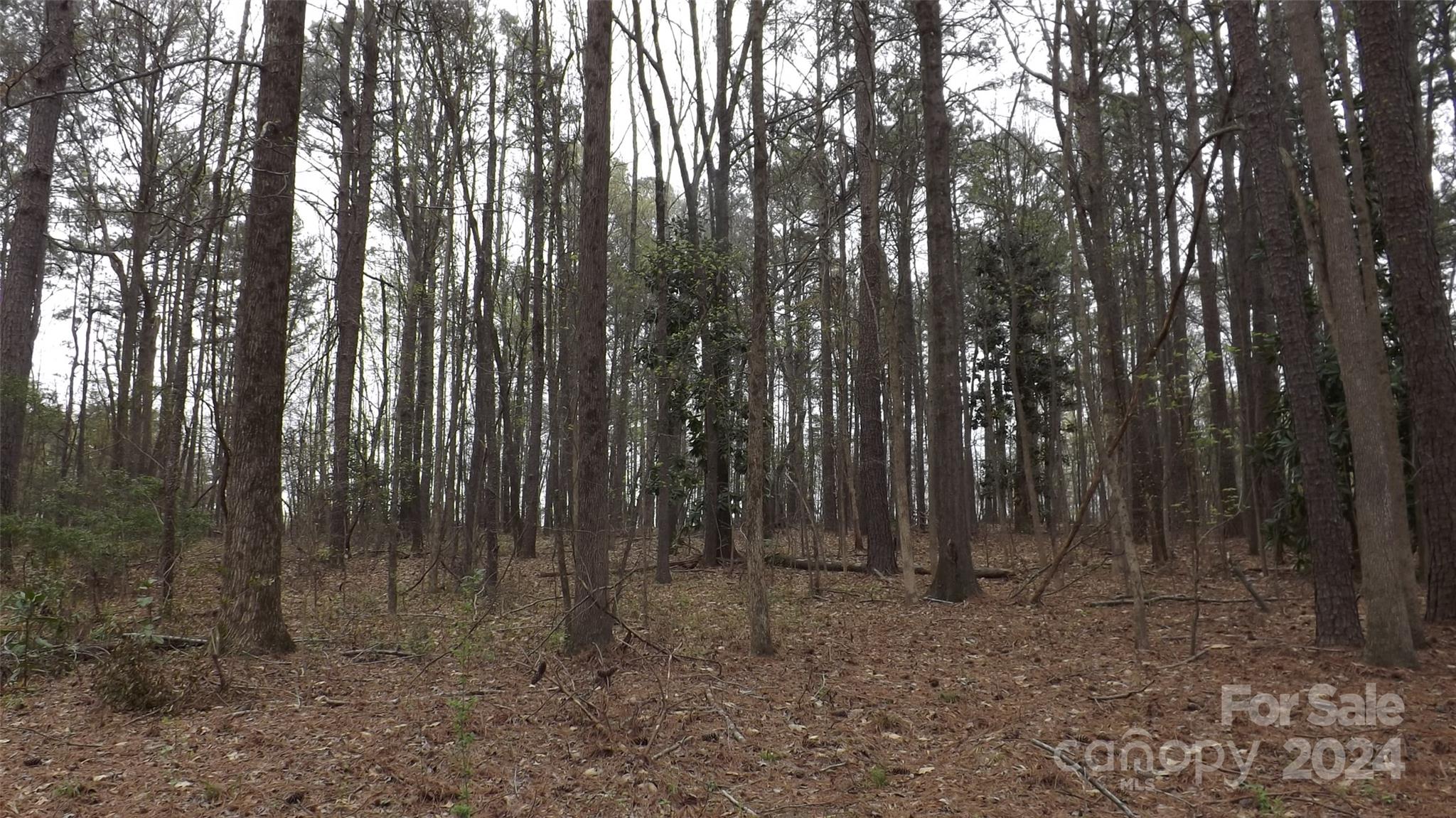 0 Red Doc Road, Unit 3 Lancaster, SC 29720 - Photo 1 of 3