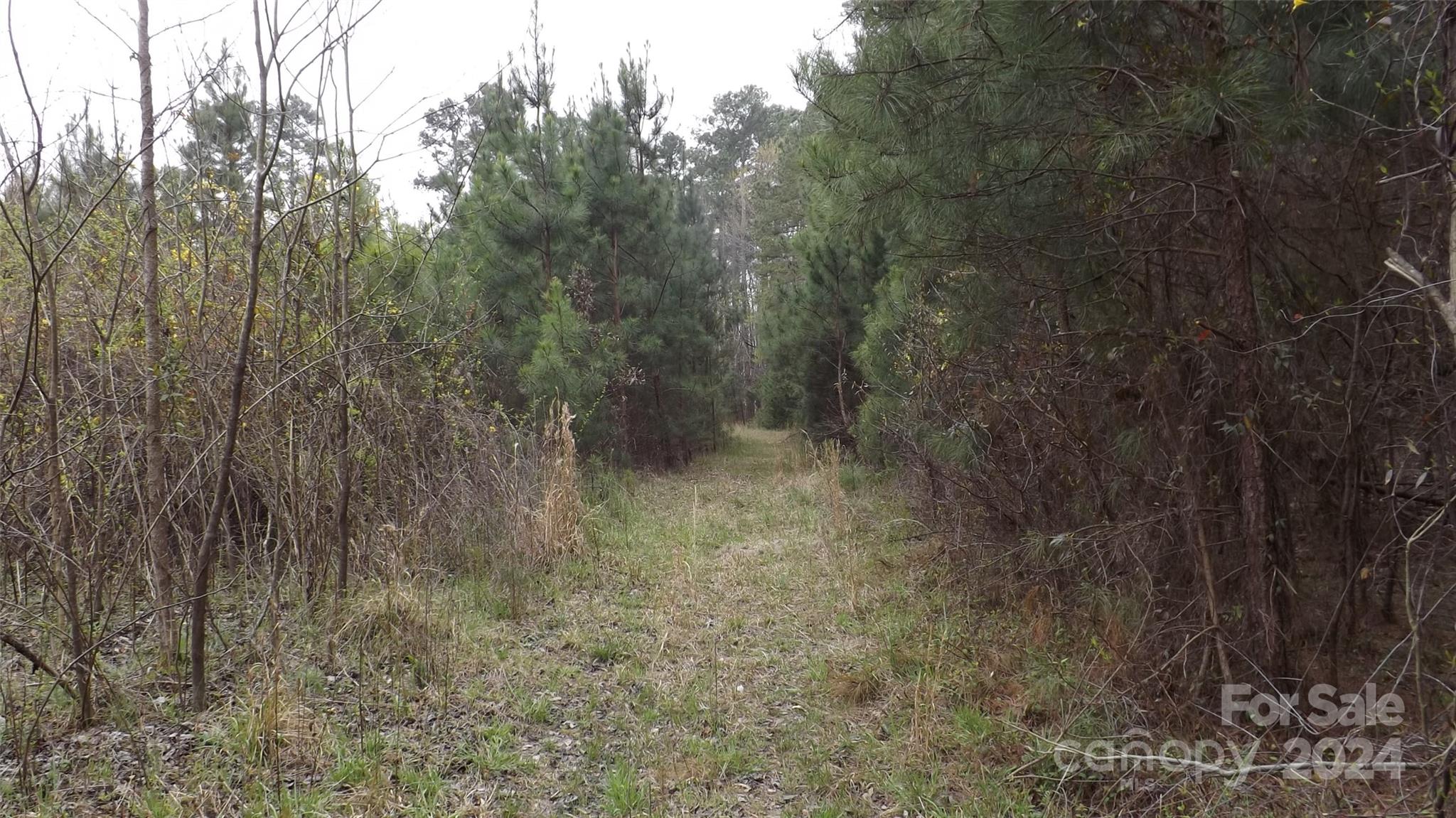 0 Red Doc Road, Unit 3 Lancaster, SC 29720 - Photo 2 of 3
