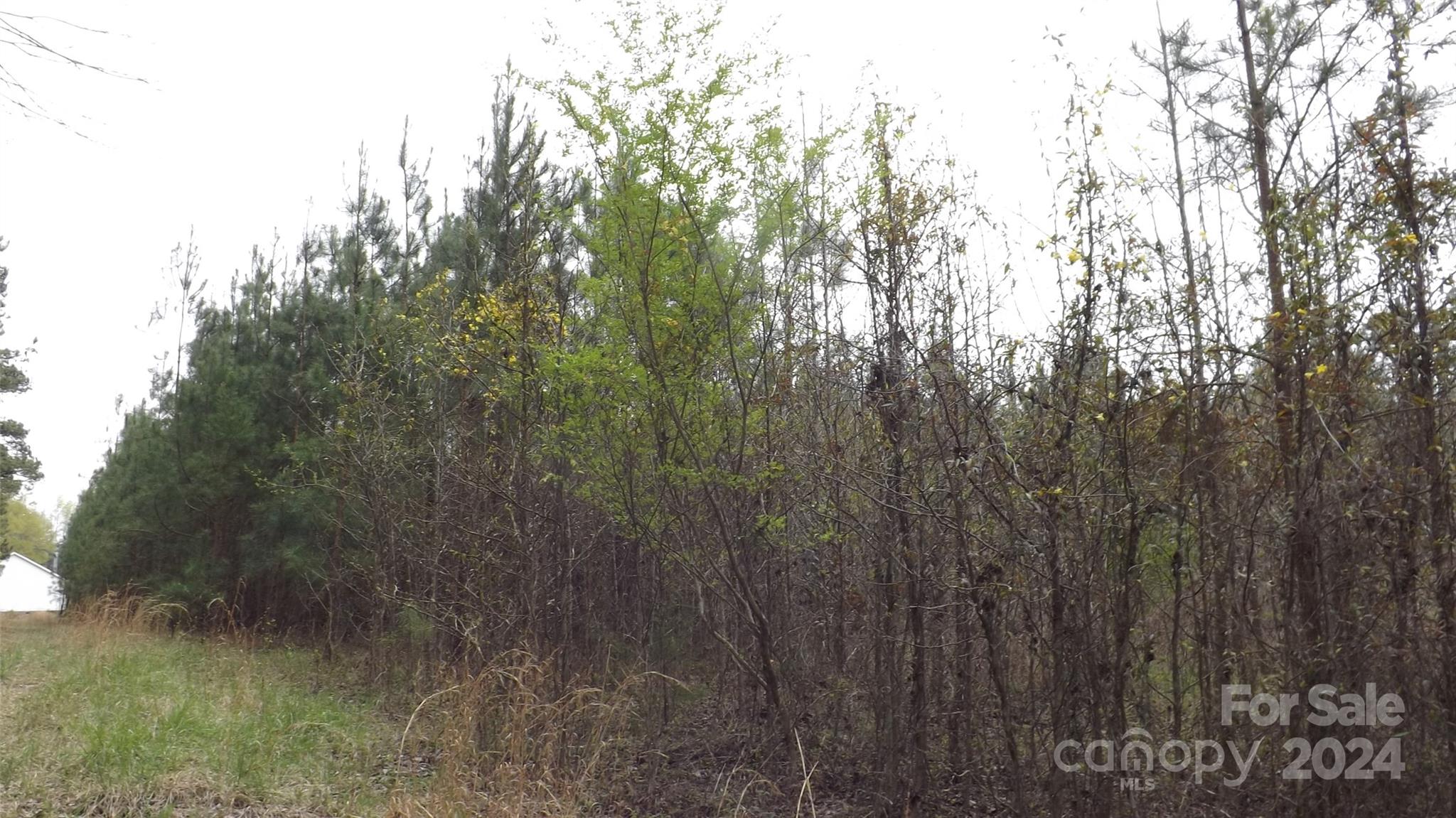 0 Red Doc Road, Unit 3 Lancaster, SC 29720 - Photo 3 of 3