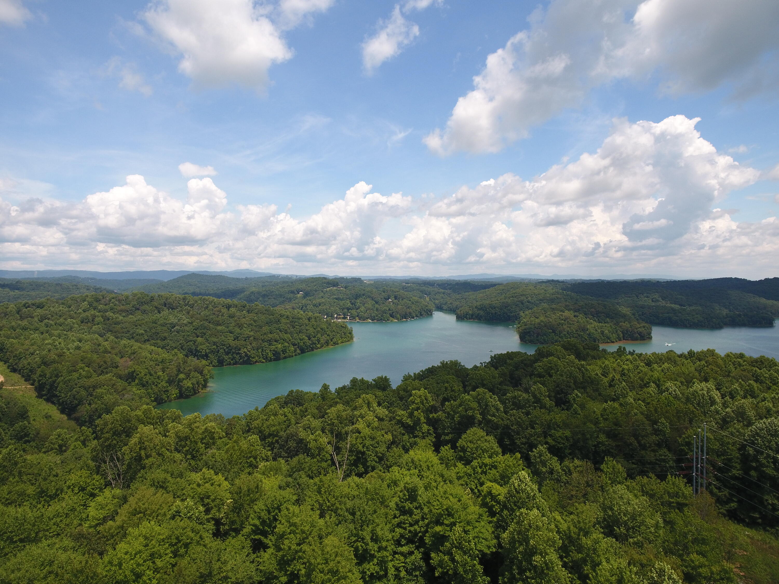 2659 Oak Grove Road Rocky Top, TN 37769 - Photo 40 of 40 DJI_0106