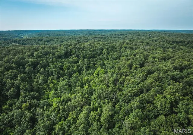 $504,350 | 0 State Rd Z, Edwards, MO 65326