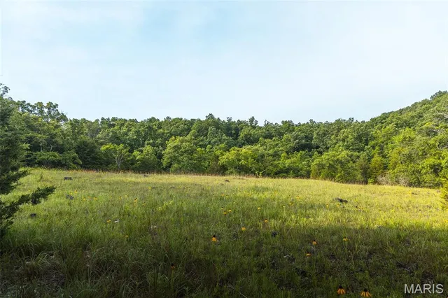 $504,350 | 0 State Rd Z, Edwards, MO 65326