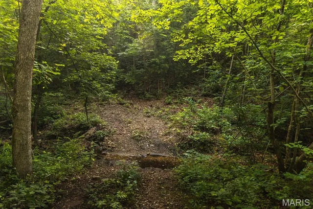 $504,350 | 0 State Rd Z, Edwards, MO 65326