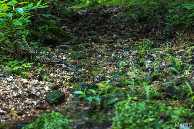 $504,350 | 0 State Rd Z, Edwards, MO 65326