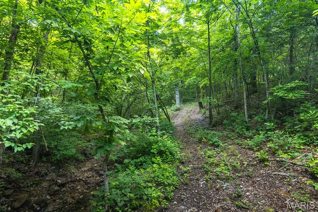 $504,350 | 0 State Rd Z, Edwards, MO 65326