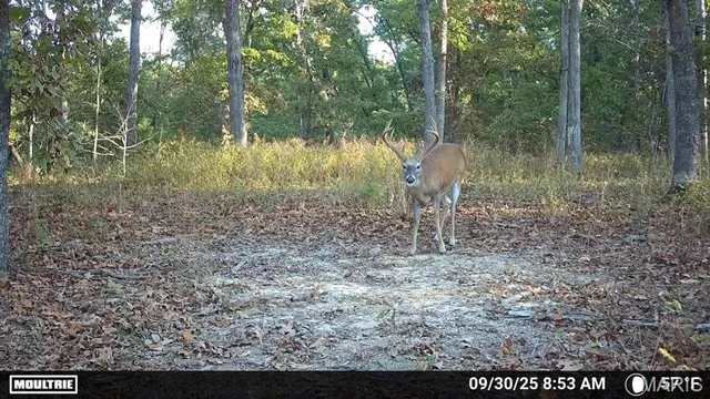 $504,350 | 0 State Rd Z, Edwards, MO 65326