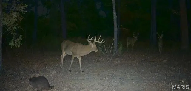 $504,350 | 0 State Rd Z, Edwards, MO 65326