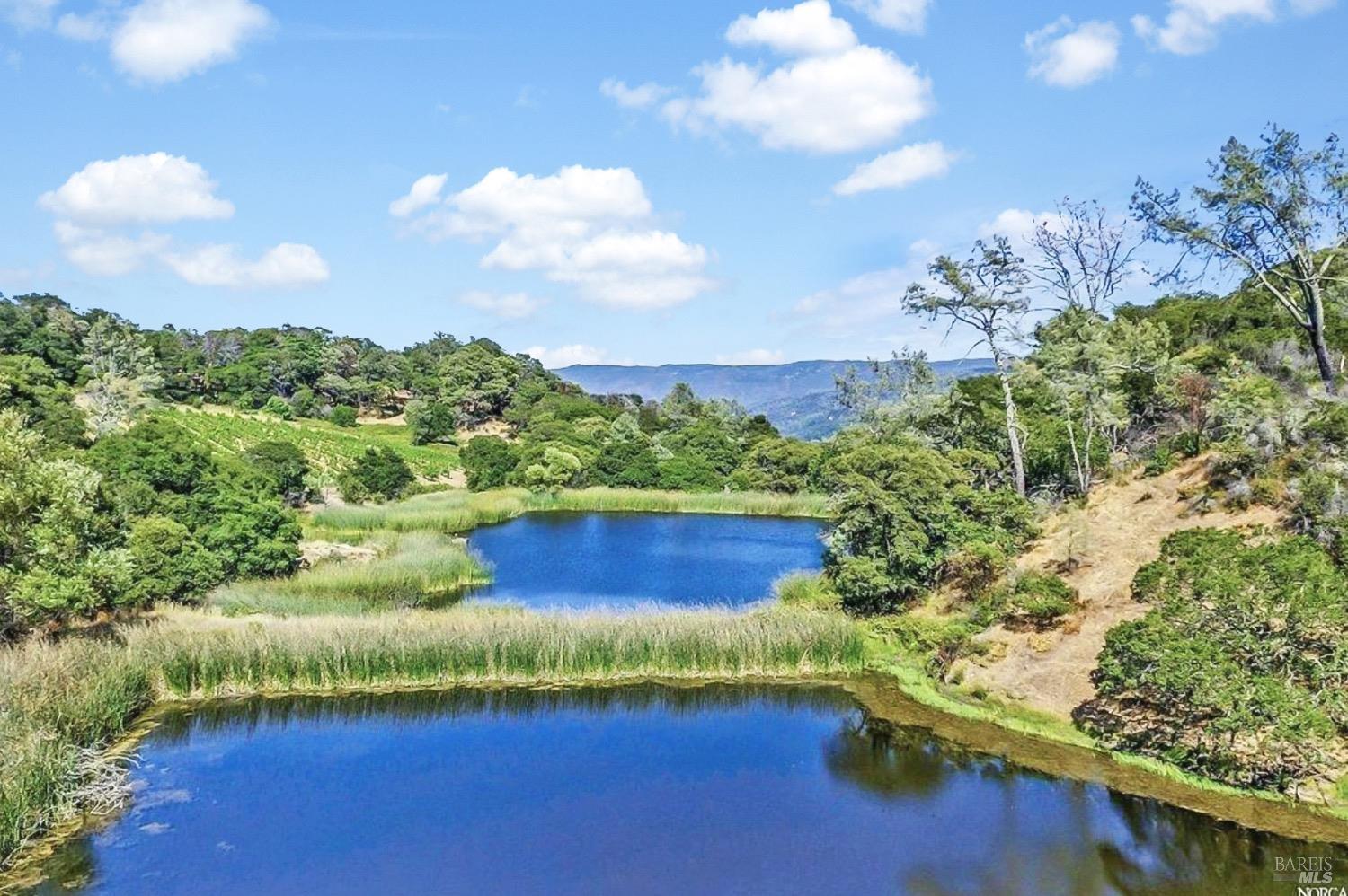 4080 Atlas Peak Road Napa, CA 94558 - Photo 55 of 59