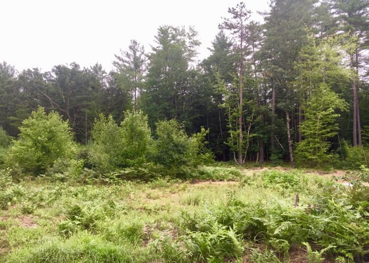 147 Intervale Road Canterbury, NH 03224 - Photo 22 of 23